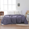 Mulberry Silk Duvets Down Comforter - Queen