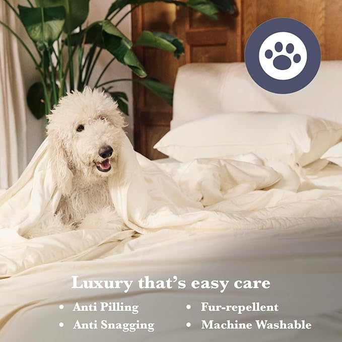 Bamboo Bed Sheet Set - Queen