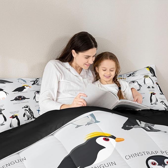 Comforter Set - Twin