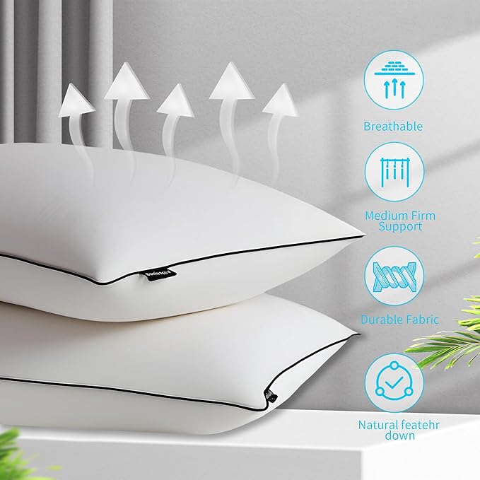 100% Cotton Bed Pillow - Standard - 2 Piece