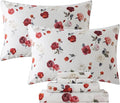 Bed Sheet Set - King - 4 Piece