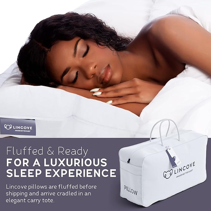Bed Pillow - Standard - 2 Pack