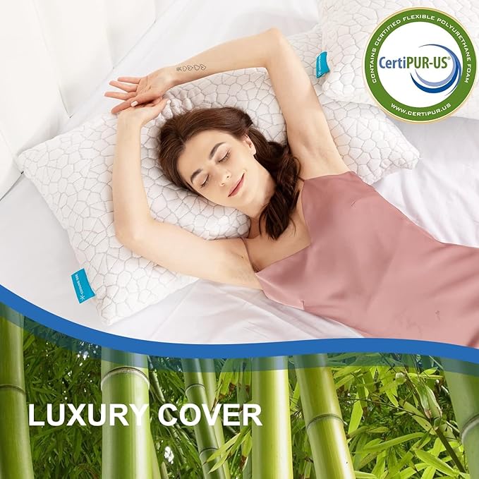 Memory Foam Cooling Bed Pillow - Queen - 2 Pack