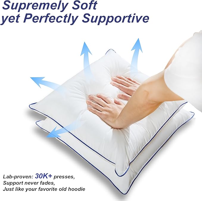 Microfiber Hypoallergenic Pillow Insert - 2 Piece