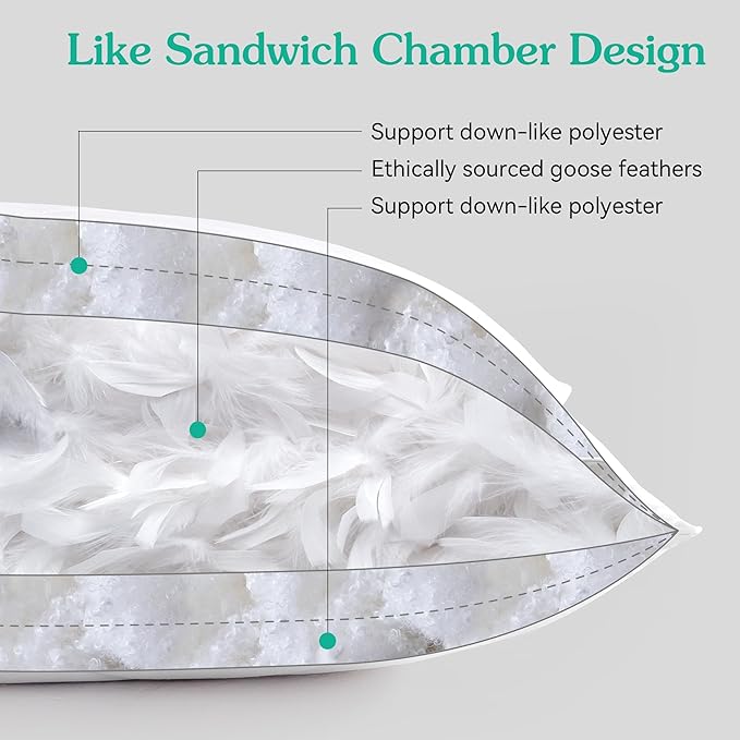 100% Cotton Bed Pillow - Standard