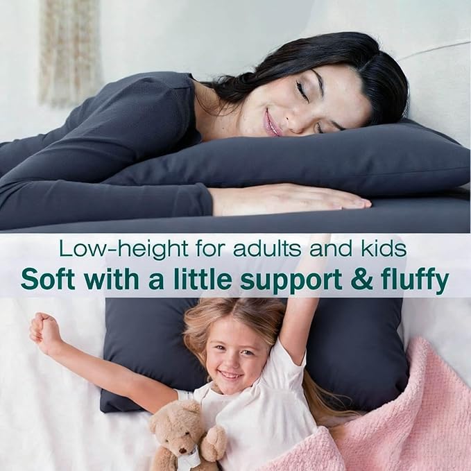 Down Alternative Bed Pillow - Standard - 20 x 26 in - 2 Piece
