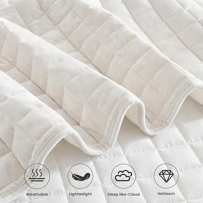Velvet Quilt Set - Twin