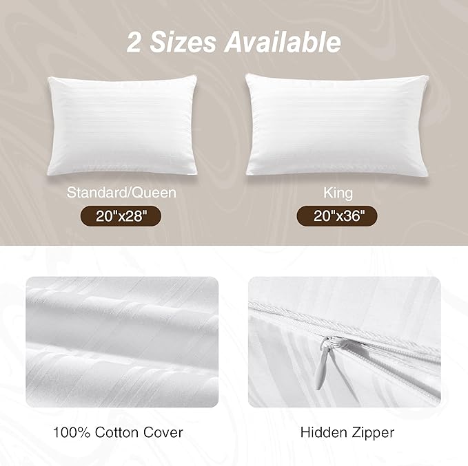 100% Cotton Bed Pillow - Queen - 2 Piece