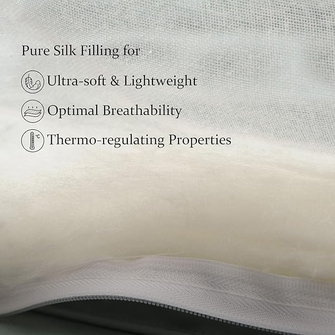 Duvets Down Comforter - Twin