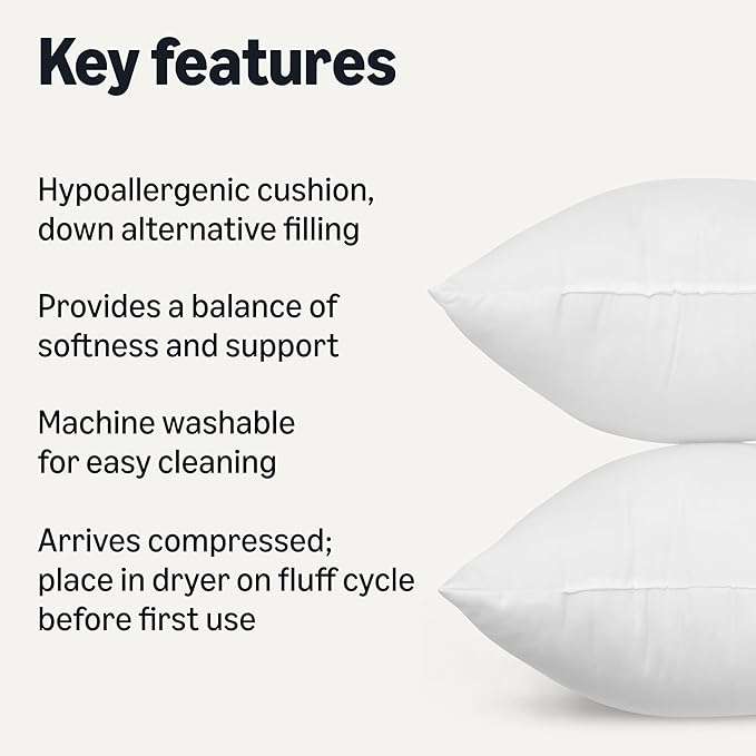 Hypoallergenic Pillow Insert - 2 Pack