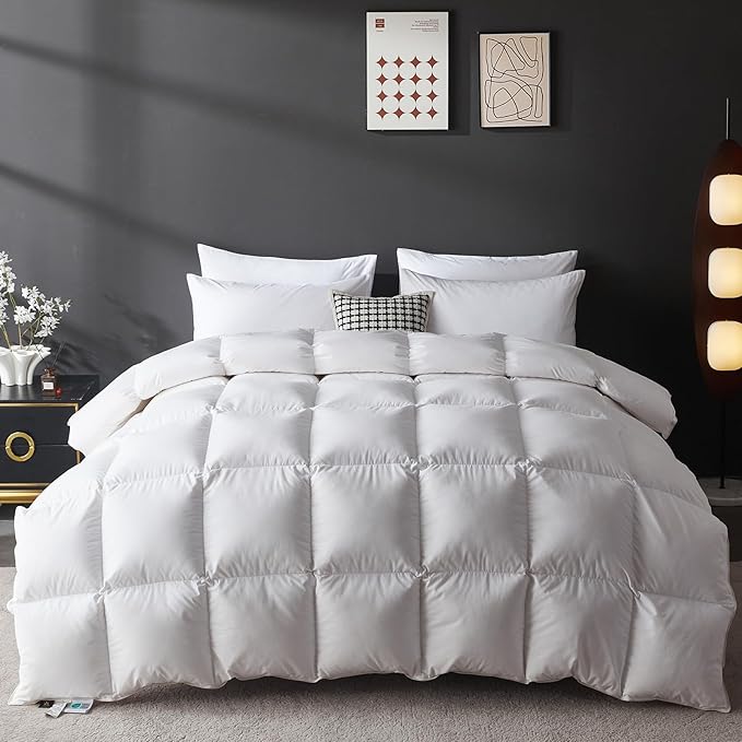 Duvets Down Comforter - Full