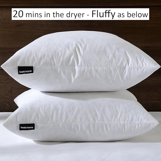 Pillow Insert - 2 Piece