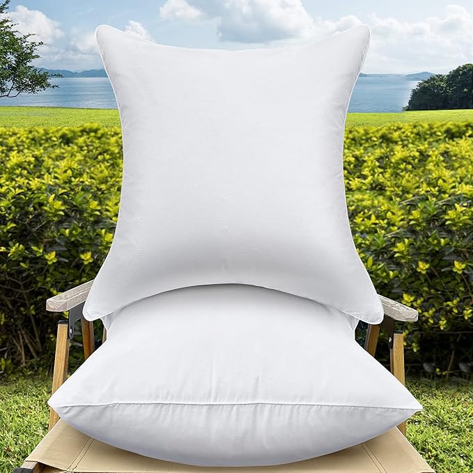 Waterproof Pillow Insert - 2 Piece