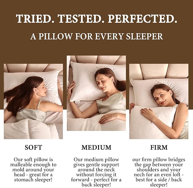 100% Cotton Bed Pillow - Queen - 2 Piece