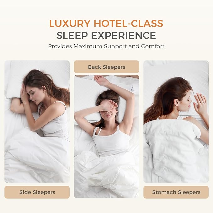 Bed Pillow - Queen - 2 Piece