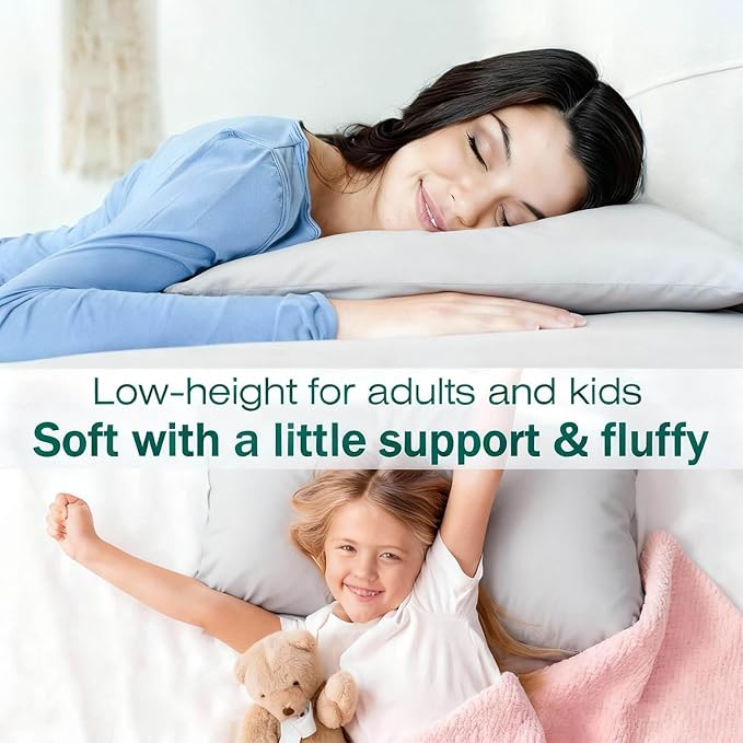 Down Alternative Bed Pillow - Standard - 20 x 26 in - 2 Piece