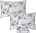 100% Cotton Bed Sheet Set - Twin XL - 4 Piece