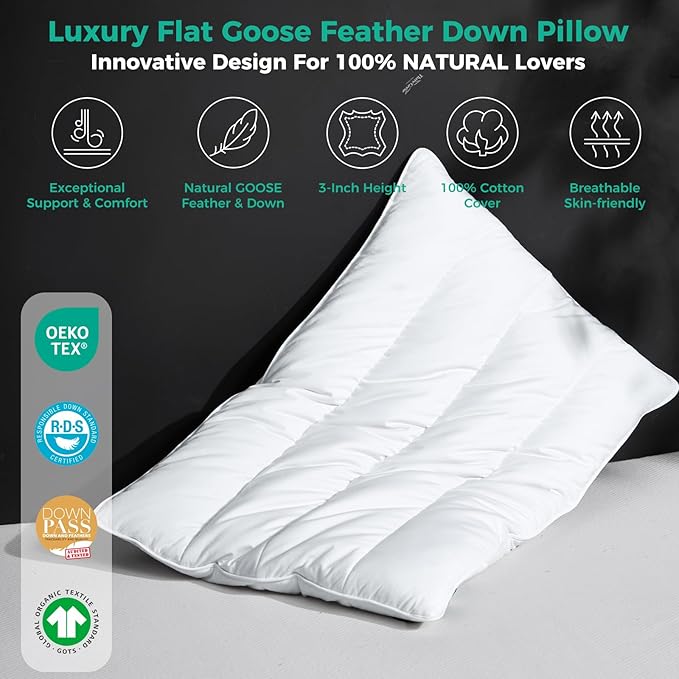 100% Cotton Bed Pillow - King - 18 x 36 in