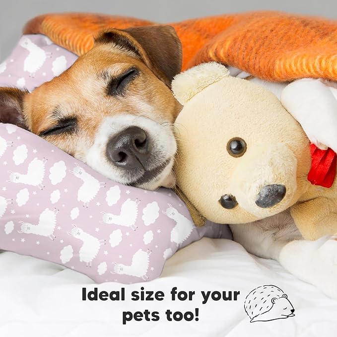 Bed Pillow