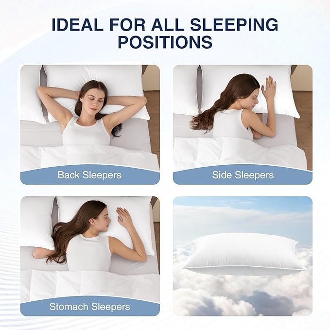 100% Cotton Bed Pillow - King - 2 Piece