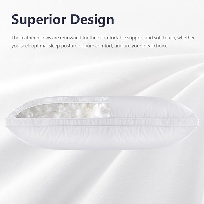 100% Cotton Hypoallergenic Bed Pillow - King - 2 Piece