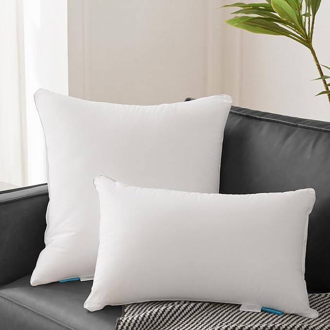 100% Cotton Pillow Insert - 2 Piece