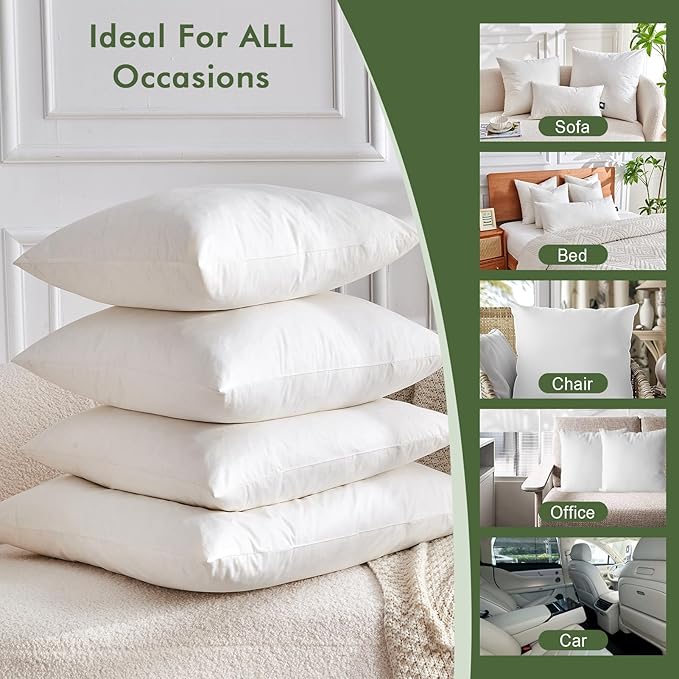 Pillow Insert - 2 Piece