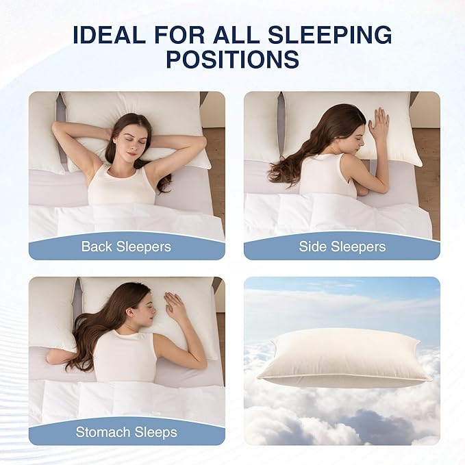 Bed Pillow - Standard - 2 Piece