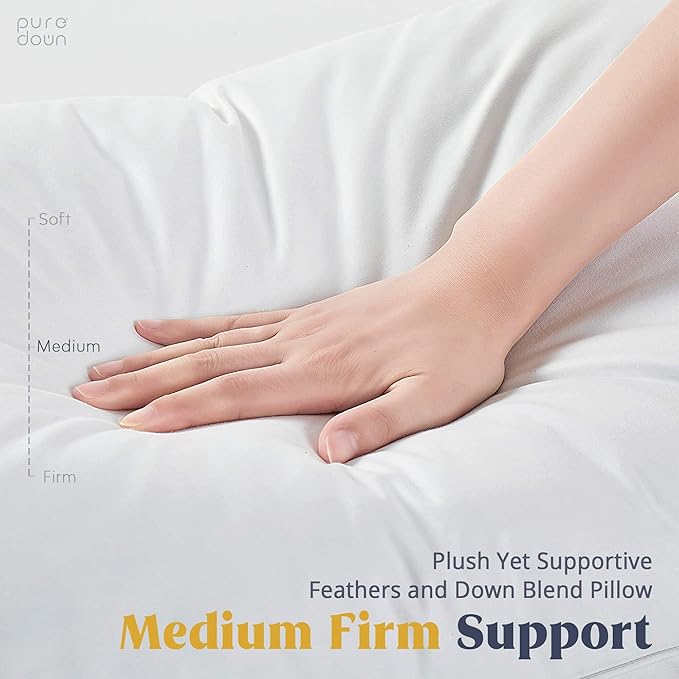 100% Cotton Bed Pillow - Standard - 2 Piece