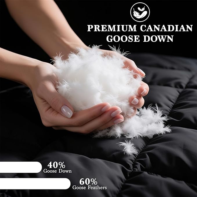 100% Cotton Bed Pillow - Standard - 2 Pack