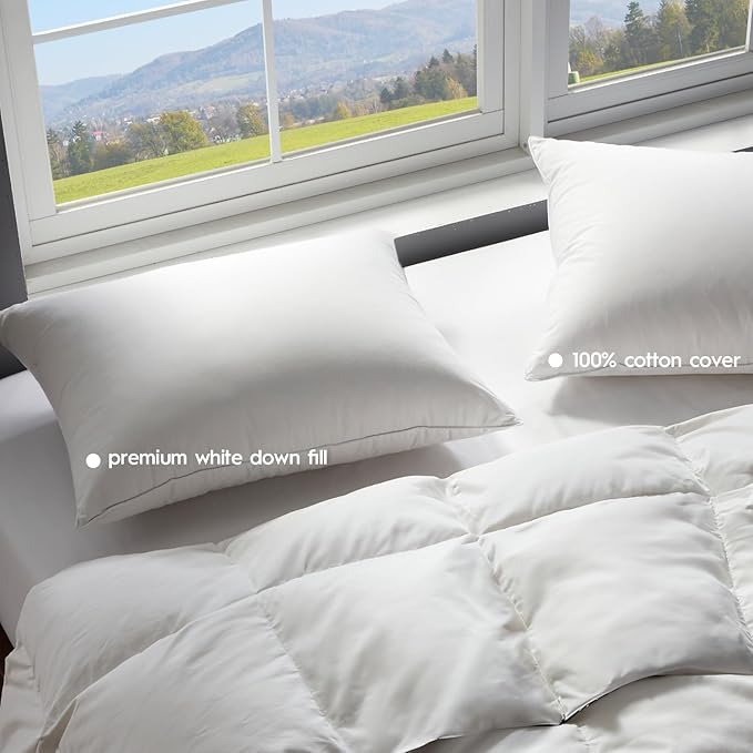 100% Cotton Bed Pillow - Queen - 2 Piece