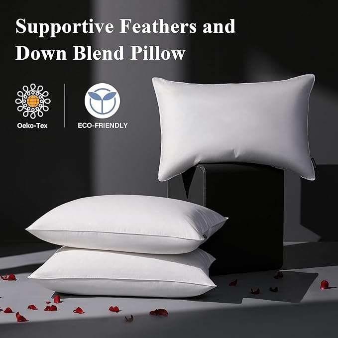 100% Cotton Bed Pillow - Standard - 2 Pack