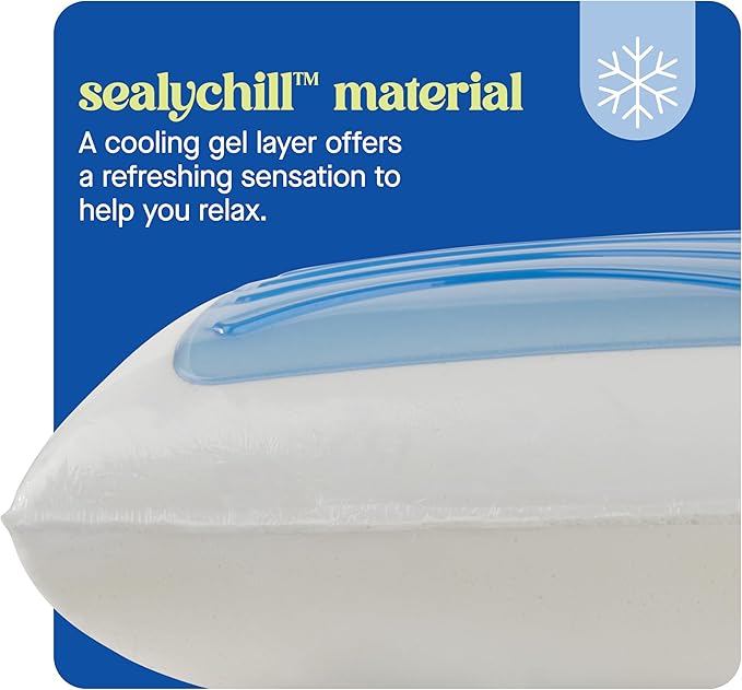 Memory Foam Cooling Bed Pillow - Standard - 2 Pack