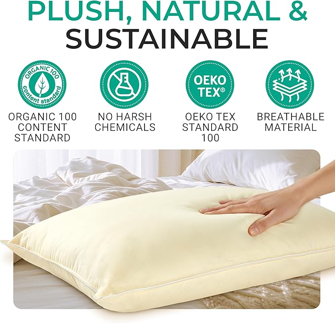 Bed Pillow - Standard - 20 x 28 in - 2 Piece