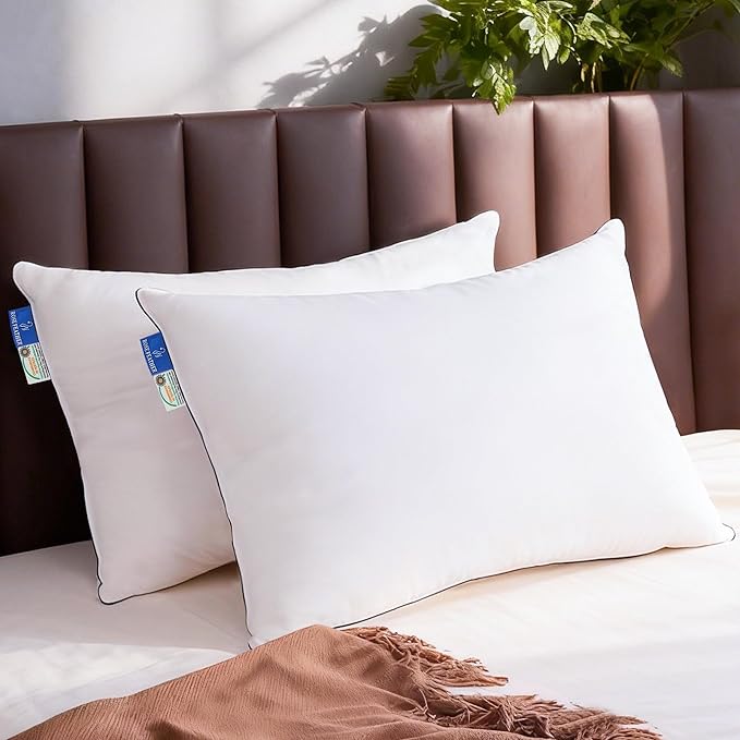 Bed Pillow - Queen - 2 Piece