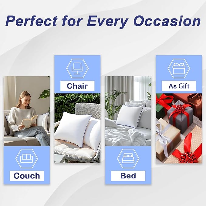 Microfiber Hypoallergenic Pillow Insert - 2 Piece