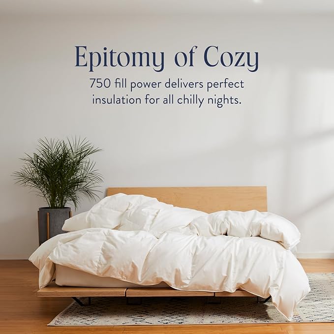 100% Cotton Comforter - King