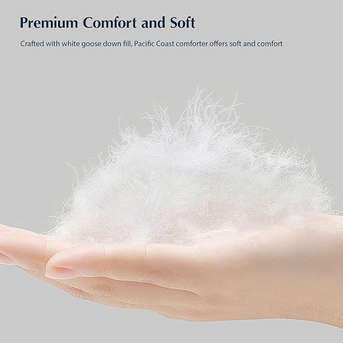 100% Cotton Duvets Down Comforter - Queen