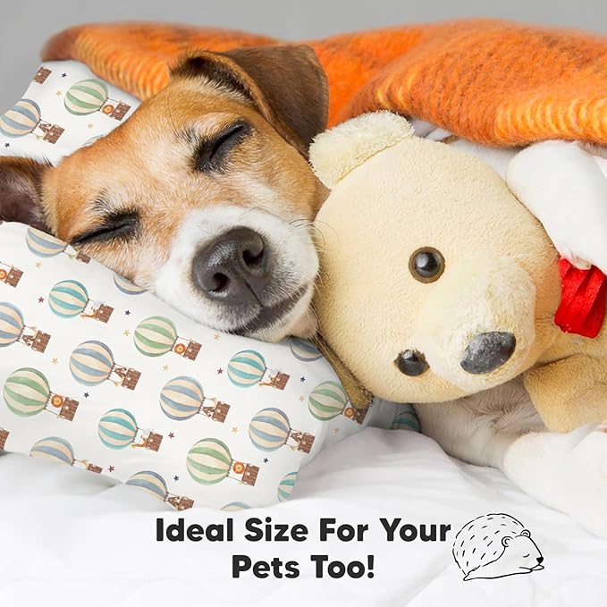 Bed Pillow