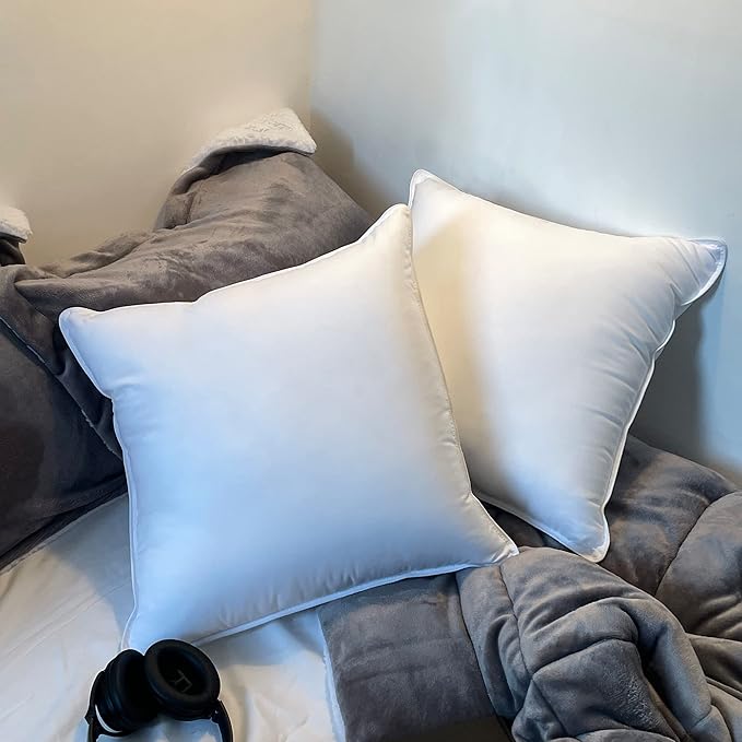 Pillow Insert - 20 x 20 in - 2 Piece