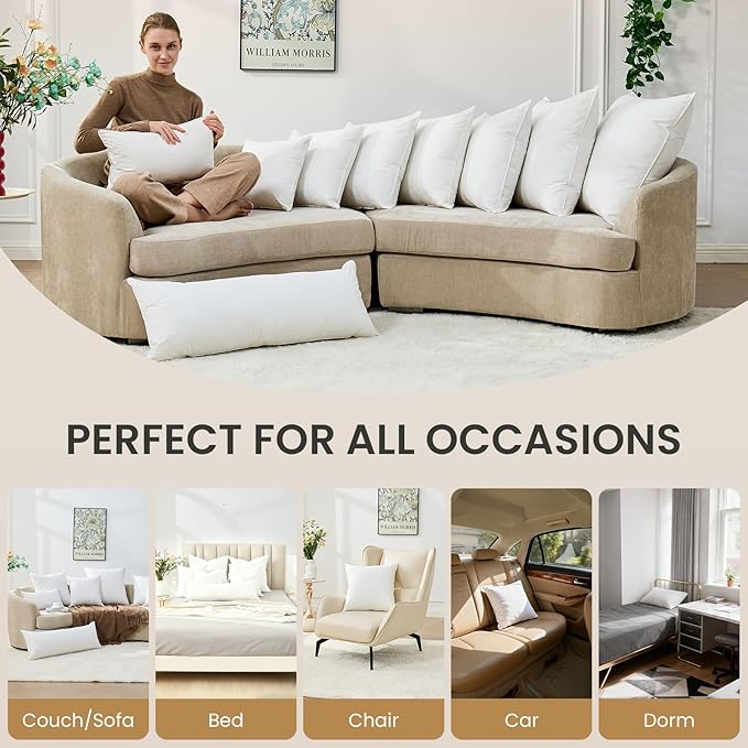 Pillow Insert - 2 Piece