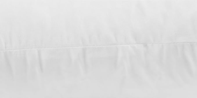 Pillow Insert - 2 Piece