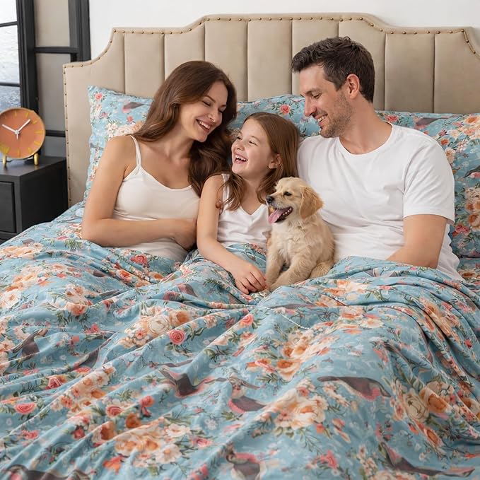 100% Cotton Bed Sheet Set - Full - 4 Piece