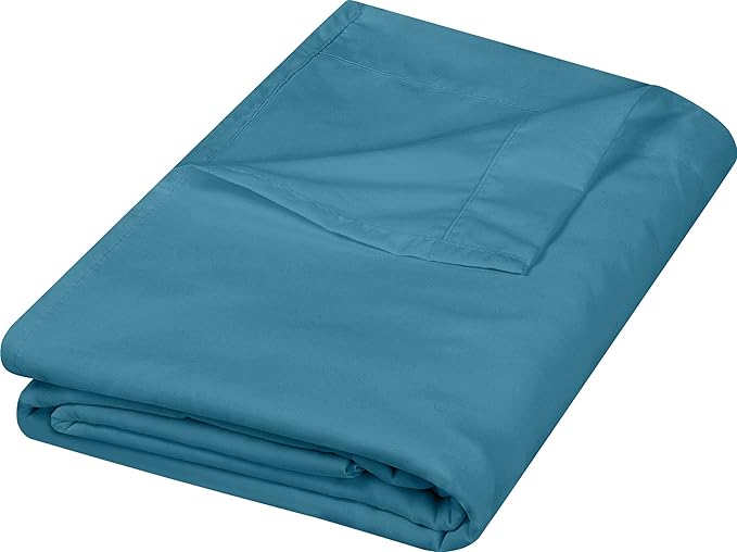 Microfiber Flat Sheet - Queen