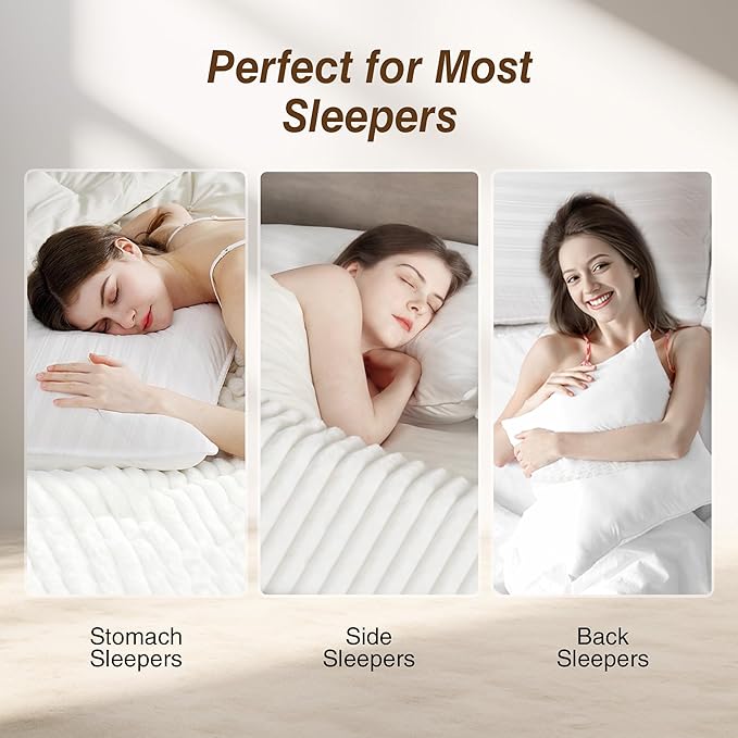 100% Cotton Bed Pillow - Queen - 2 Piece