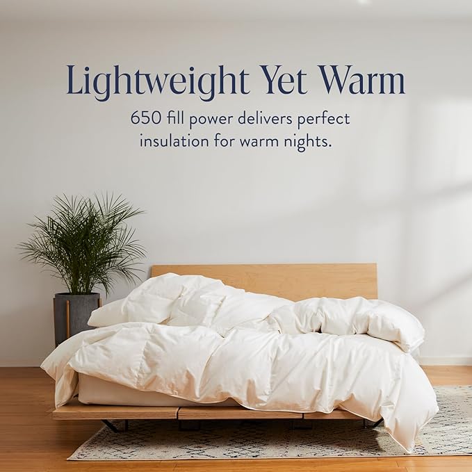 100% Cotton Duvets Down Comforter - Queen