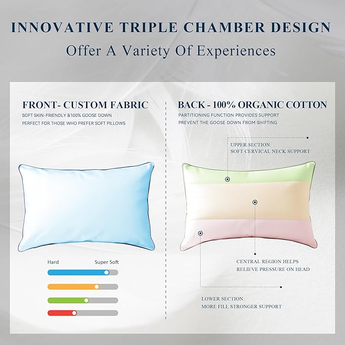 Bed Pillow - Queen - 2 Piece