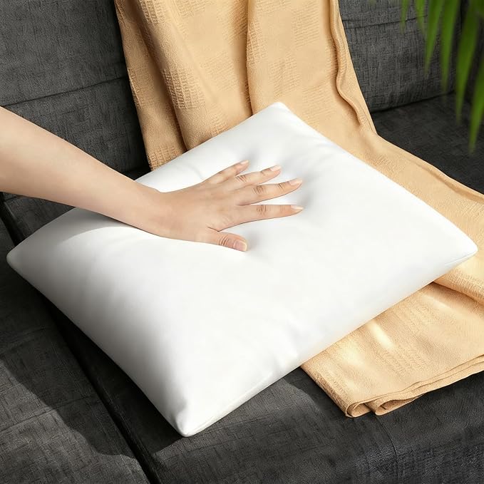Down Alternative Hypoallergenic Pillow Insert - 20 x 20 in