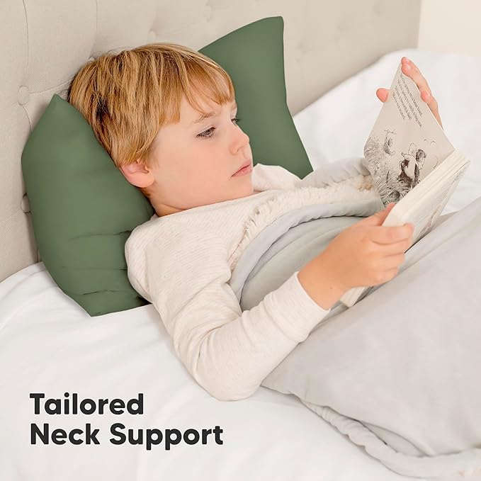 Bed Pillow