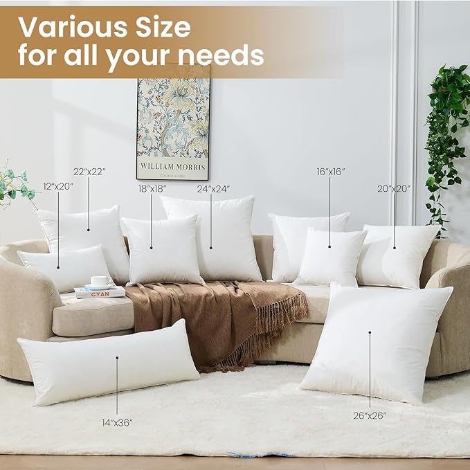 Pillow Insert - 2 Piece